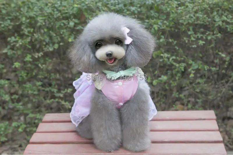 Prrincess_Pet_Dog_Dress_Summer_Pink_lace_Pearl_dresses_Lovely_Puppy_dog_Wedding_Party_skirt_Pet_clothing_supplies_ (8)