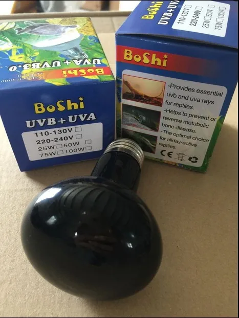 Black Night Bulbs