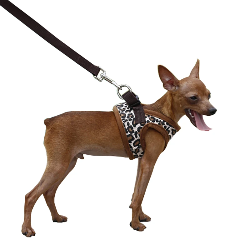 Leopard Dog Harness Small Dog Chihuahua Harness Dog