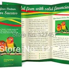 Нестандартная конструкция размер в разложенном виде 210x285 мм листовки печати раза до 210x95 мм 3 складки китайский A4 печать брошюр