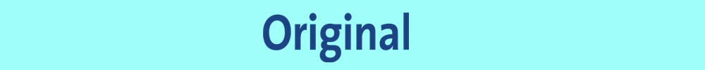 schneider_original_wordmark_