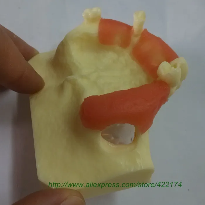 Sinus practice model 3