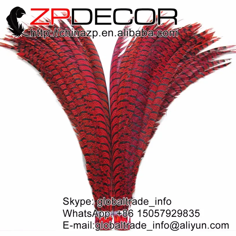 ZEBRA Lady Amherst Pheasant Tail Feathers in red  (7)
