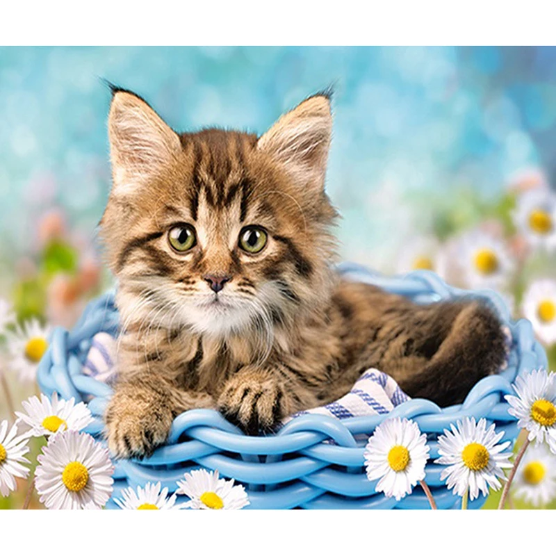 Новый Вышивка с кристаллами &quotKitty&quot 5D поделки алмазов картина вышитая вставка