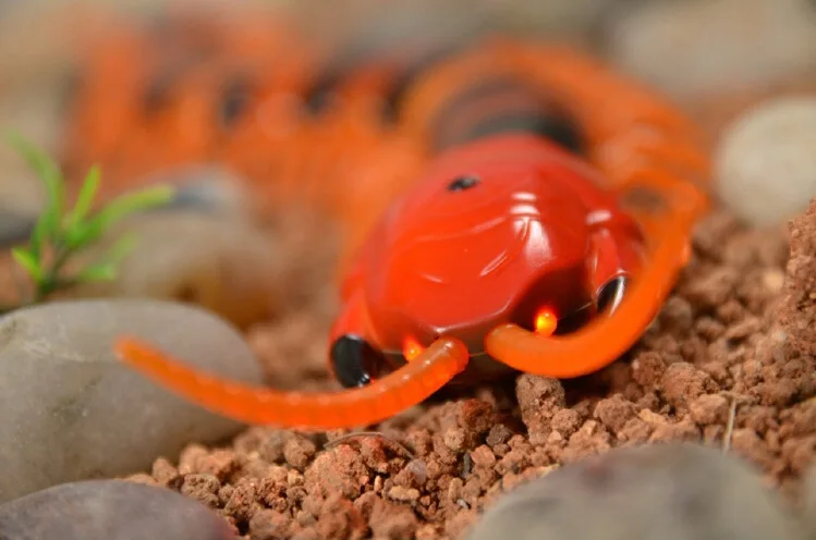 Новое поступление ИК RC Scolopendra модельной Дистанционное Управление животных электрическая игрушка Забавный Новинка ужасающие Рождественский подарок для детей