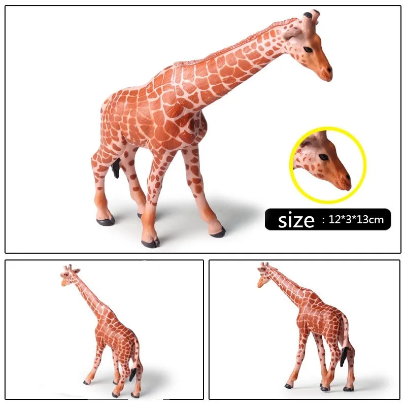 giraffe (2)
