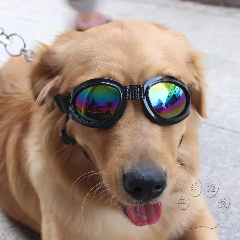 New Ultra Thin font b Pet b font Dog Sunglasses Windproof UV Protection Sand Dust Prevention