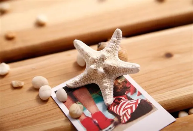 Starfish10