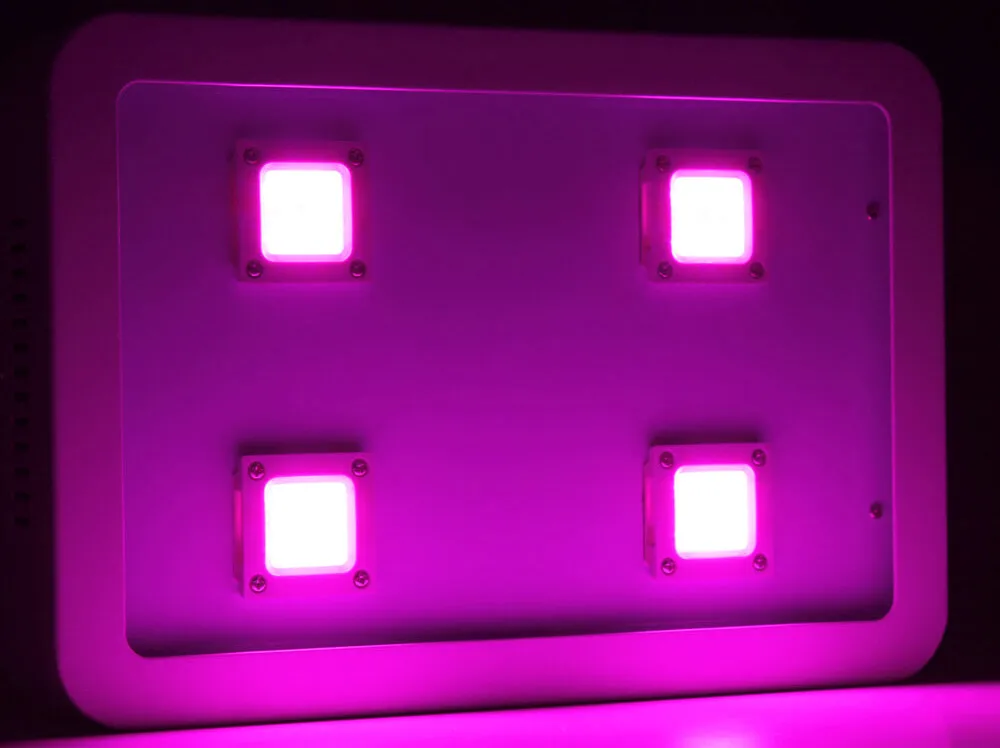 Светодиодный светильник для выращивания растений COB 1200 Вт, полноспектральный свет для выращивания растений с ИК/УФ для выращивания