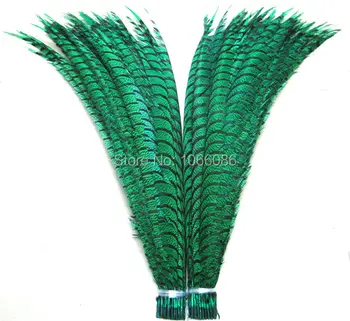 

EMS free shipping 80pcs 30-35inch 80-90cm Green dyed pheasant tail feather,Lady amherst side tails,pheasant feather