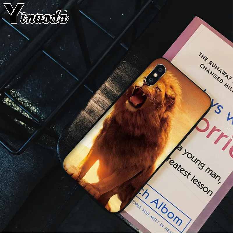Animals The lion
