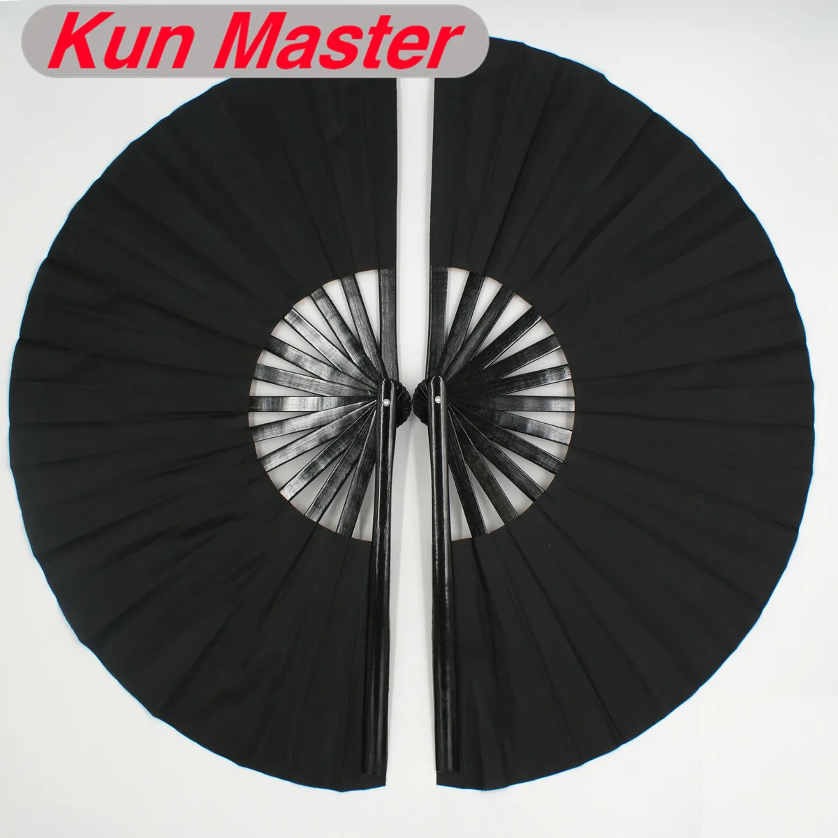 kung fu fan