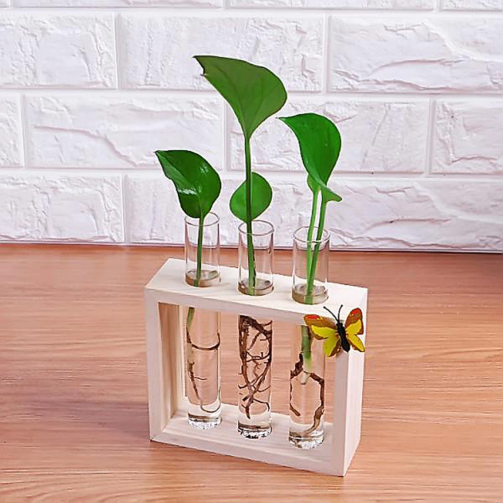 Beautiful Test Tube Glass Flowers Plant Vase Wooden Stand Holder Terrarium Container For Gift Or Home Decorate