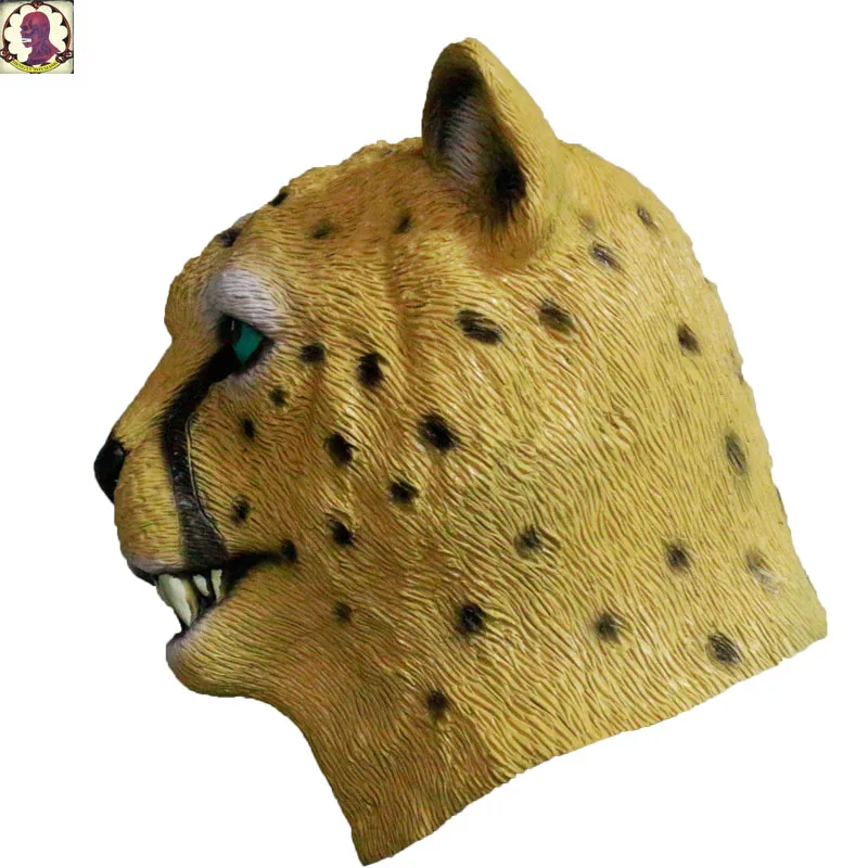 le5