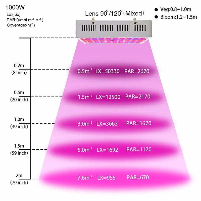 1000W-1