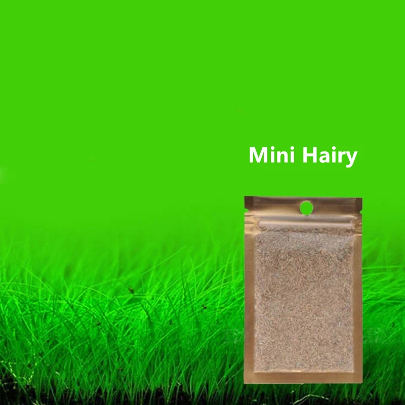 1 упаковка аквариумных растений Семена Водный для воды зеленая вода трава украшение легко посадки аквариума Пейзаж орнамент - Цвет: Mini Hairy