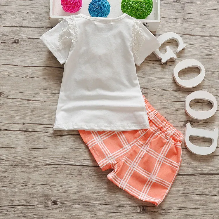 2916431238_1508071157