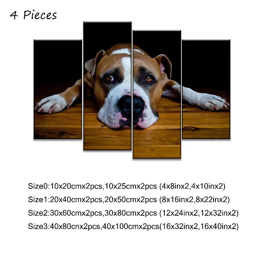 4P- 
