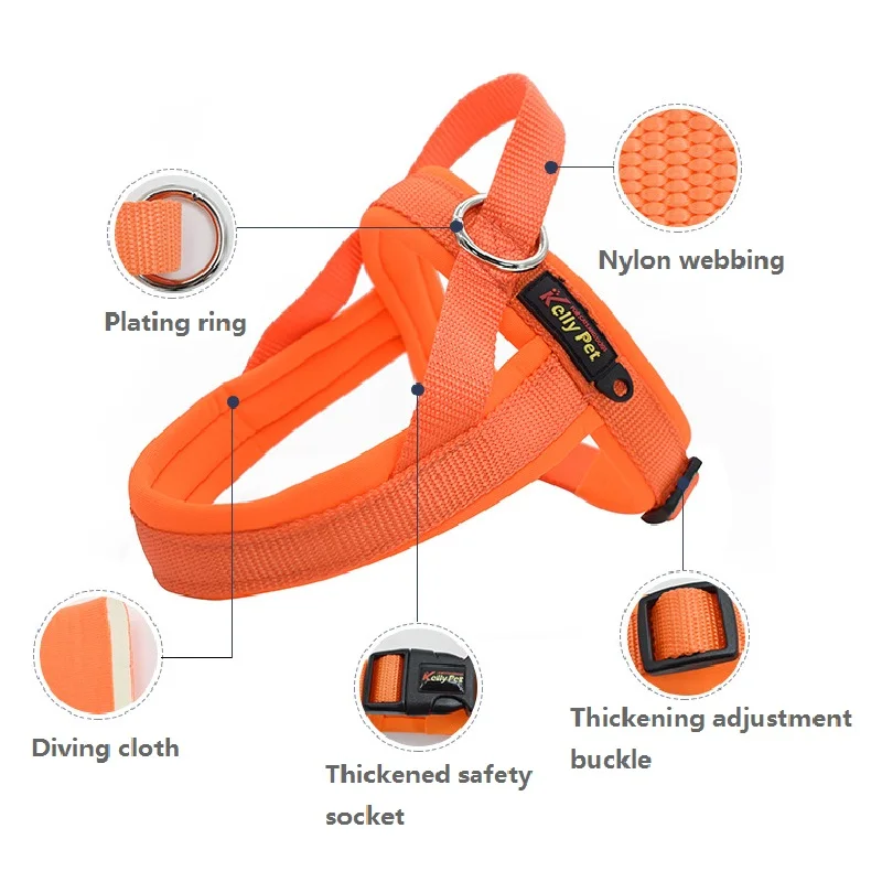 10626388083_1026663116