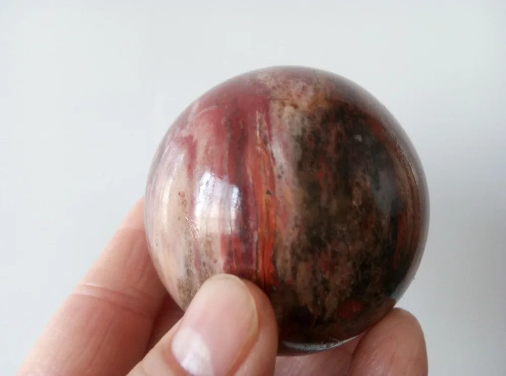 62 мм окаменевшая древесная Сфера каменный хвойный минеральный шар|ball ball|ball sphereballs