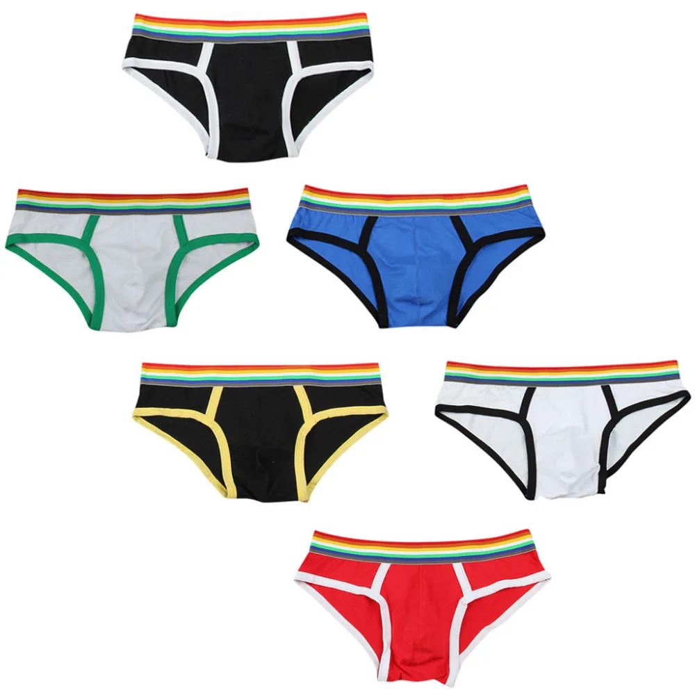 2019 Fashion men's multicolor briefs rainbow cotton briefs swimming shorts breathable men's underwear sexy briefs hombre 40J10 (1)
