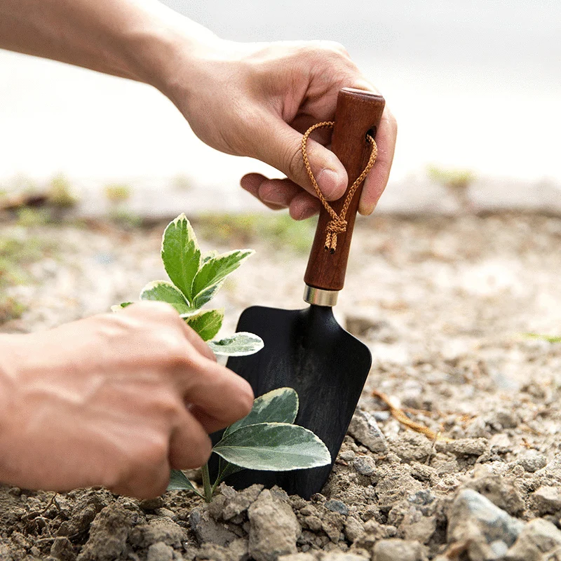 Practical garden shovel with wood handle Plant Soil Shovels Flowers and
