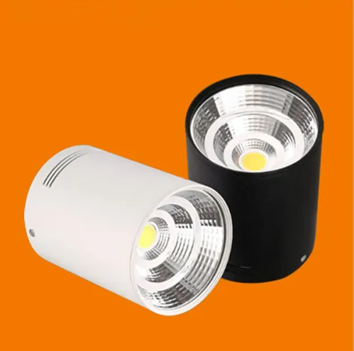 

Free Shipping 15W Dimmable Surface Mounted Warm Cold White LED Downlight With White/Silver/Black shell COB Led down lights
