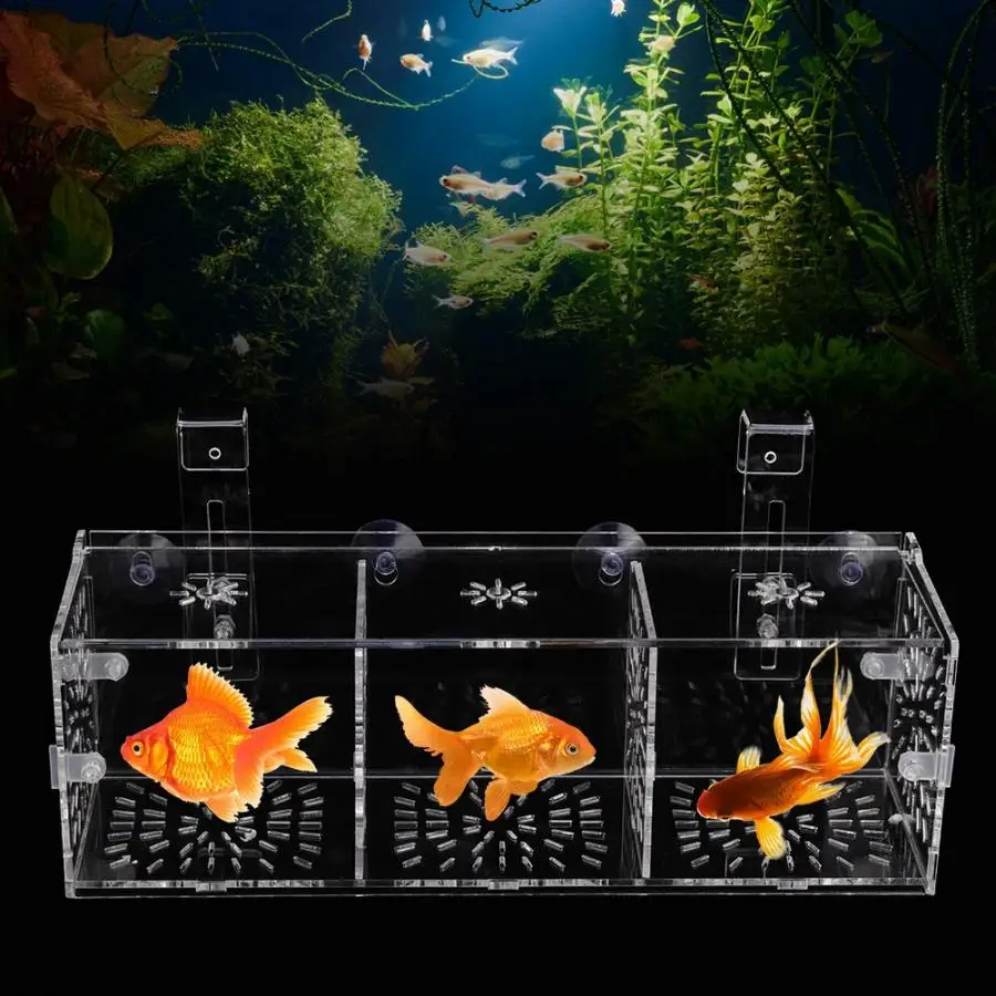 

Acrylic Transparent Fish Tank Breeding Isolation Box Aquarium Hatchery Incubator Holder