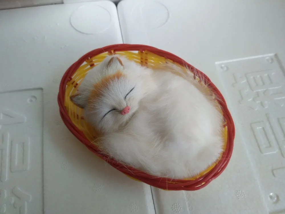 sleeping cat in basket toy