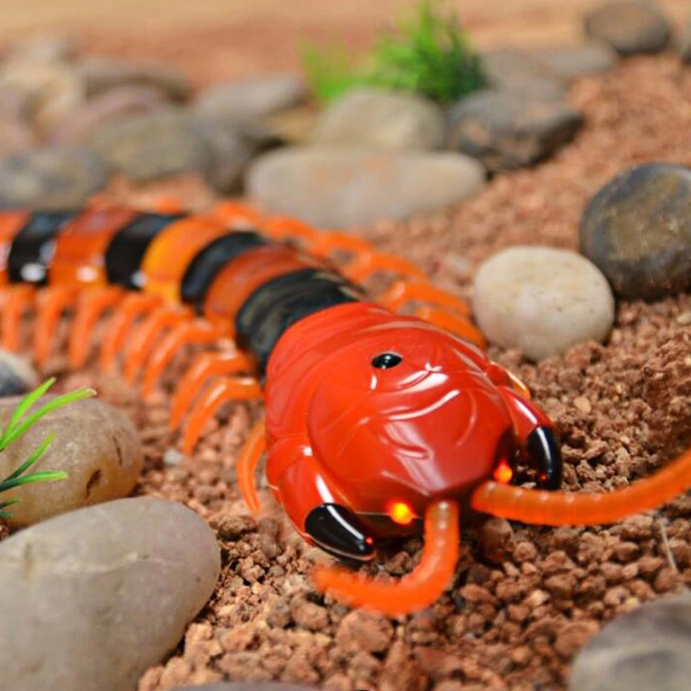 rc centipede