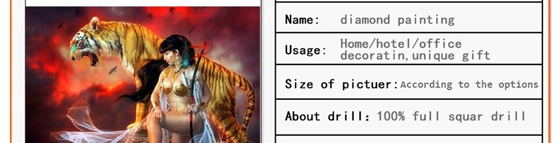 female warrior full square diamond painting human series 5d rhinestone embroidery mosaic cross stitch sewing crystal handicraft1962_02