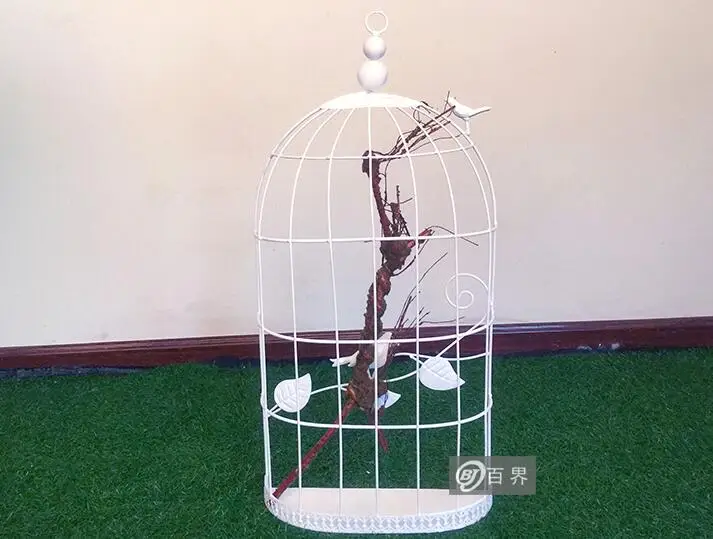QQ20190124140840