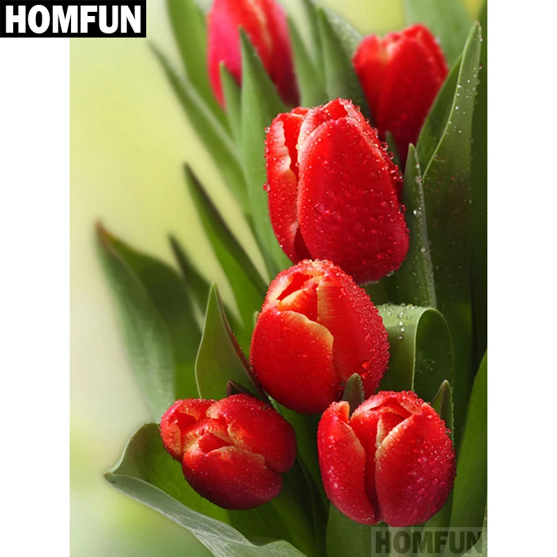 Алмазная живопись HOMFUN A00515 картина Красный тюльпан с полными