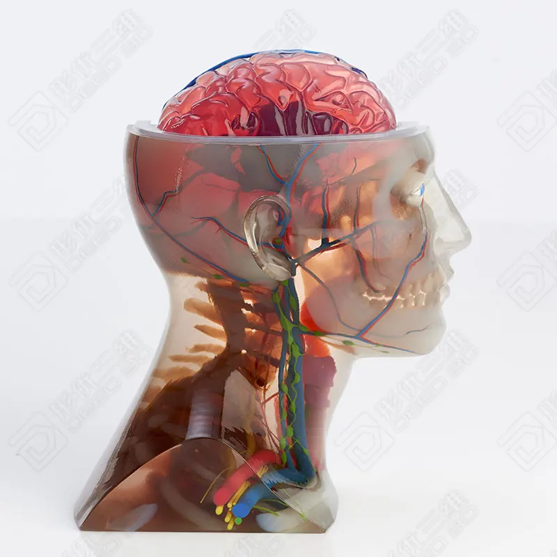 

Medical Parts customized Precision prototypes 3d printing Services