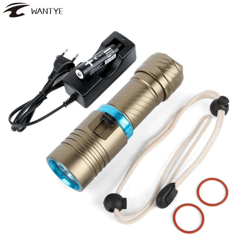 led diving light