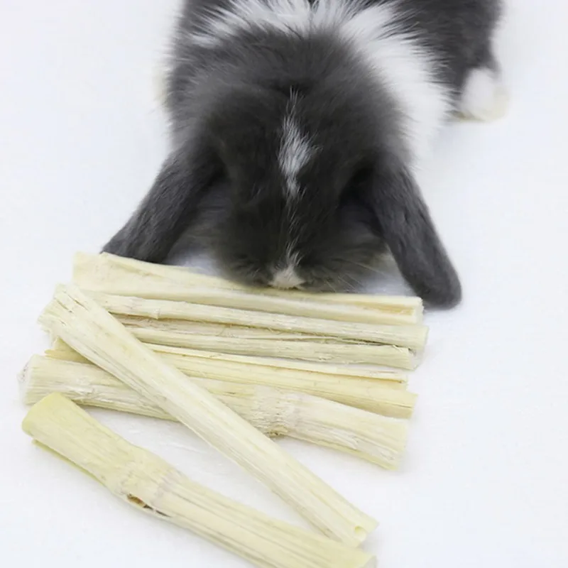 

Natural High Fiber Molar Sweet Bamboo 5 For Rabbit Hamster Guinea Pig Snacks Cleaning Teeth Treat Molar Chew Toy For Rodent