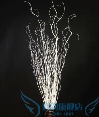 

, living room, floor, dry branches, cloud dragon, artificial flower, fake flower, floral, white