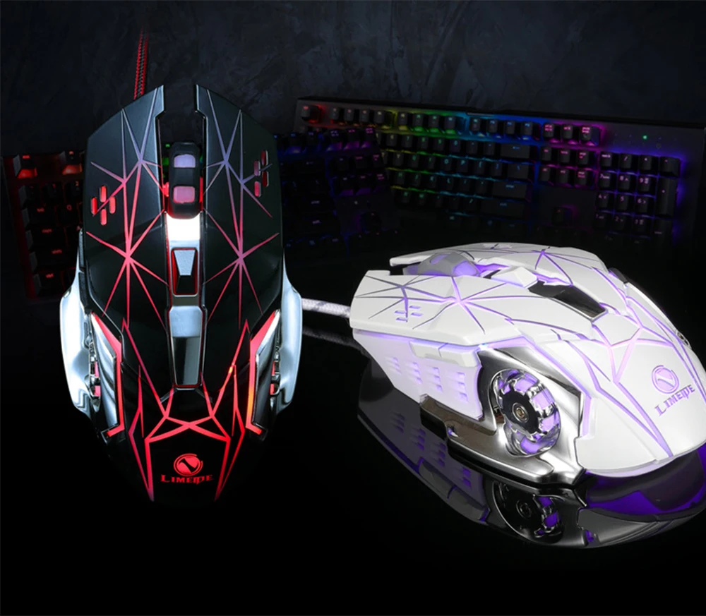 Mouse-2_06