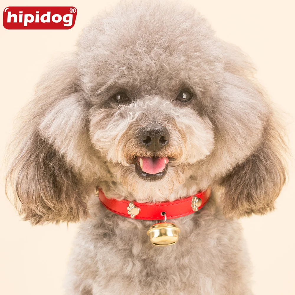 Кожаный ошейник Hipidog с индивидуальными бирками для собак на заказ кошек питомцев