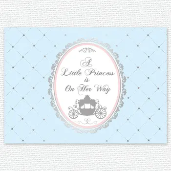 

custom blue silver pink princess carriage cinderella baby shower 1st birthday backdrop Computer print party background