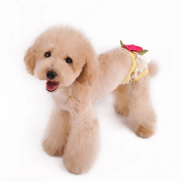 1505675746_917042931