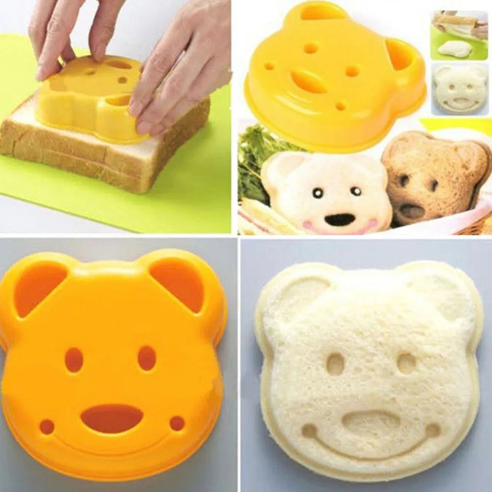 mold on a sandwich discovery for kids