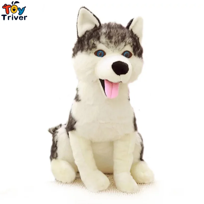 Peluche Chien Loup Husky Jouets Animaux En Peluche Poupee Enfants Bebe Petit Ami Garcons Cadeaux D Anniversaire Decoration De Chambre A Coucher Artisanat Aliexpress