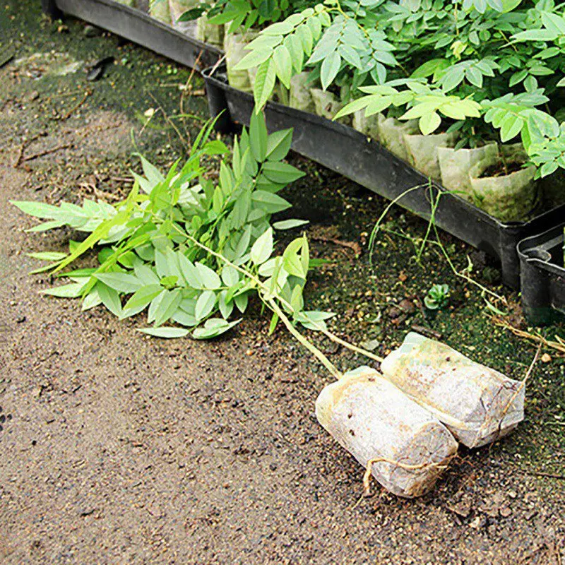 Растительные мешки ткань рассады горшки различных размеров нетканые мешки для питомника Экологичные домашний сад посадки сумки контейнер