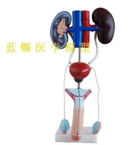QQ20180722183837