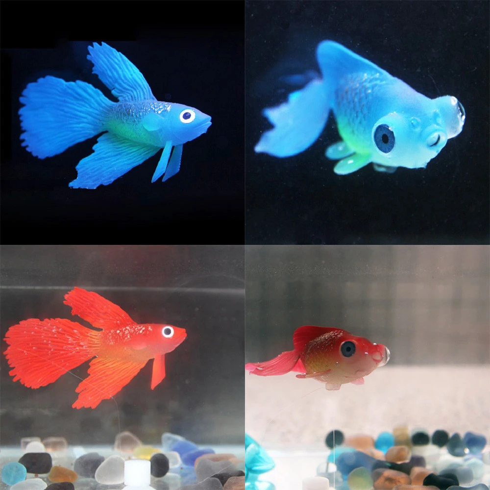 plastic fish aquarium