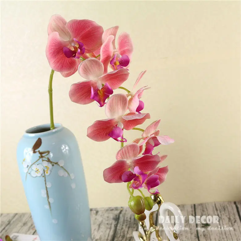 4247640019_2147365237