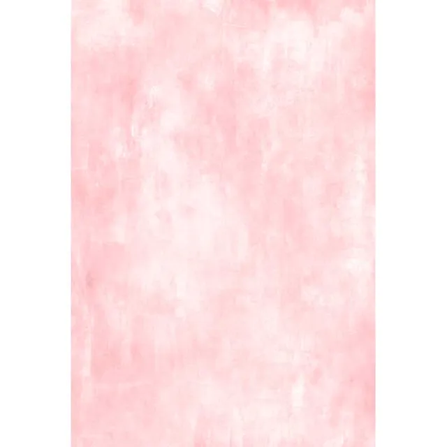 Light Pink Color Photography Backdrops For Newborn Photo Studio Light Pink Color Photography Backdrops For Newborn Photo Studio Portrait Photographic Background 5x7ft