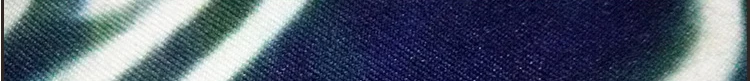 7672424303_1097342754