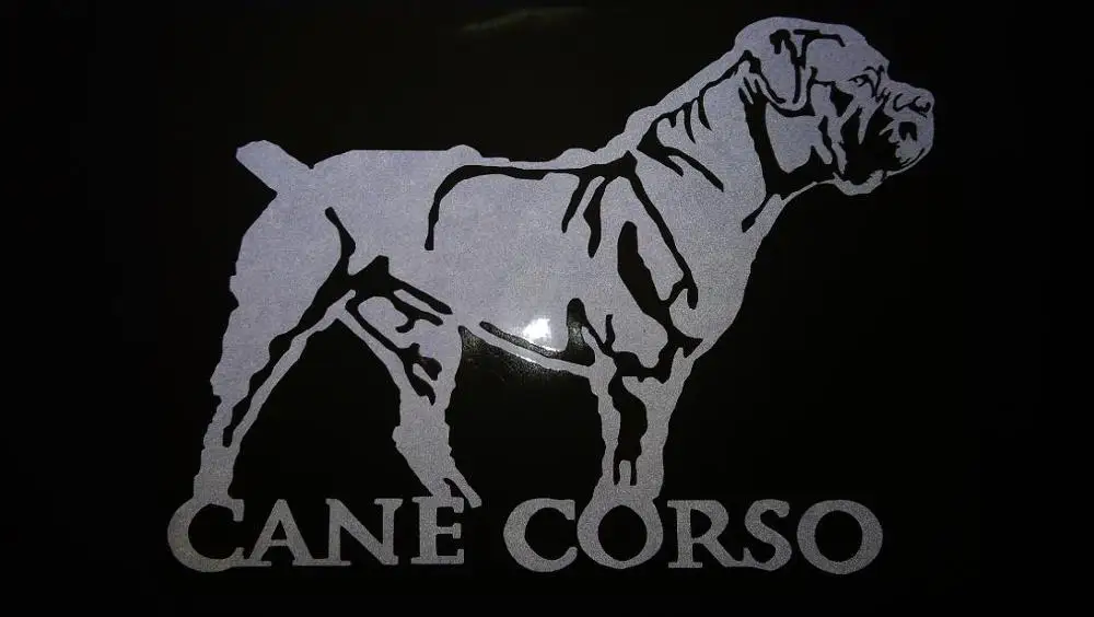 

NetCat /Cane Corso cane da corso Italian /water proof/window body/NOT PRINT/Funny Vinyl Car Sticker Decal/reflective